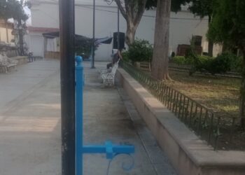 ¡Yo lo vi…con mi camarita!