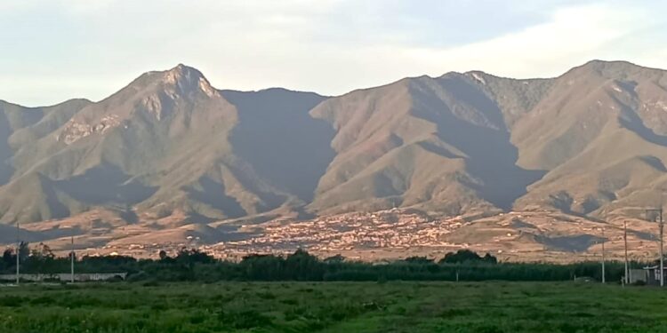 ¡YO LO VI…CON MI CAMARITA!