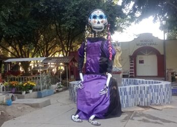 ¡YO LO VI…CON MI CAMARITA!