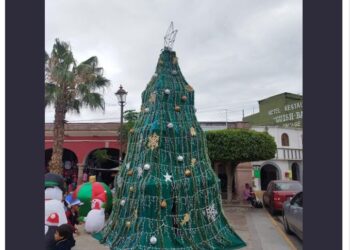 ¡Lo vi en las redes!