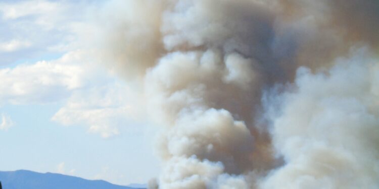 ¿Quién le pone el cascabel al gato?