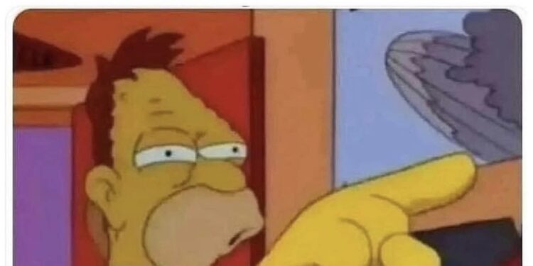 ¡Lo vi…en las redes!